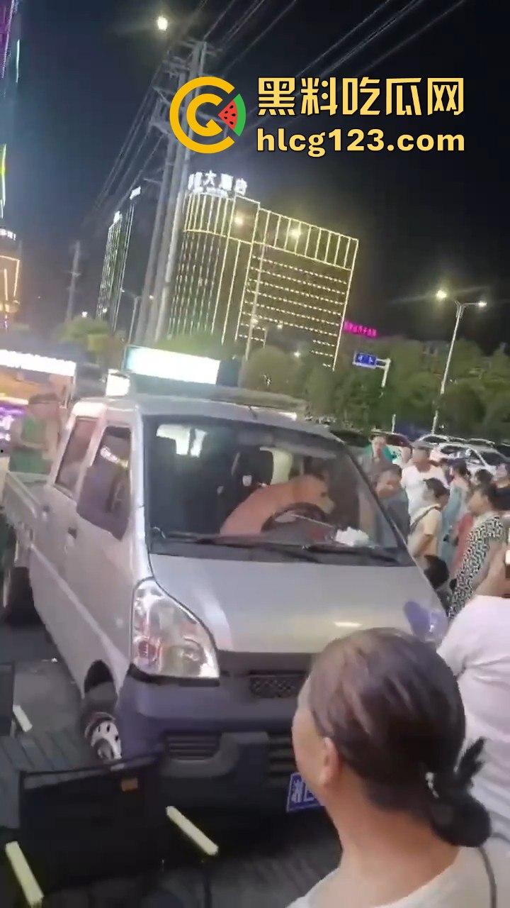 湖南邵东拉布拉多狗司机开倒车撞摊,装无辜伸舌头竟然成了明星!