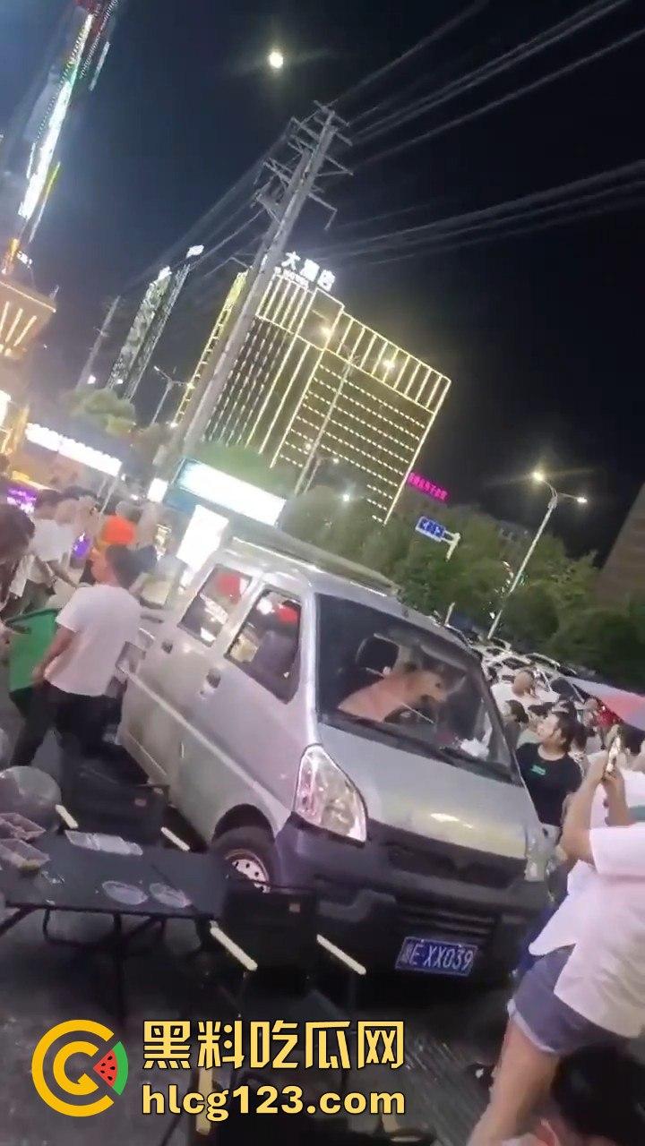 湖南邵东拉布拉多狗司机开倒车撞摊,装无辜伸舌头竟然成了明星!