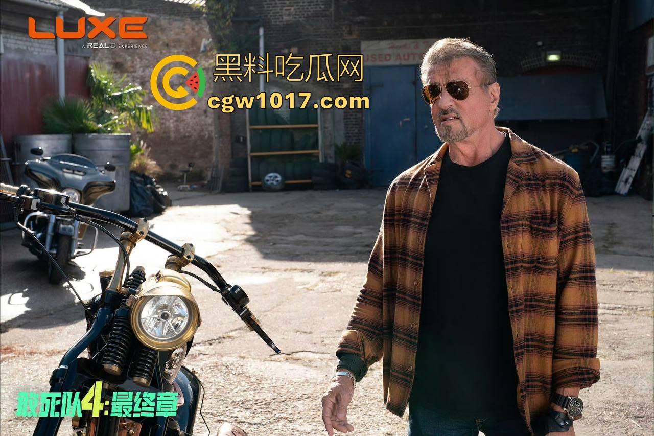 好莱坞经典硬汉电影【敢死队4:最终章】迎来谢幕之战,这个曾集结史泰龙、施瓦辛格的最后一部续作高清上映!