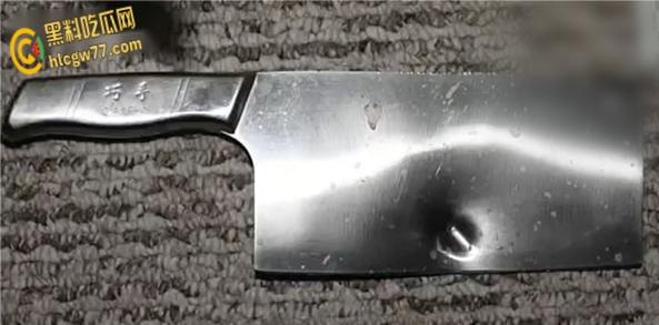 洛杉矶华裔女子纵火袭邻居 持刀拒捕被警方当场击毙 现场视频曝光