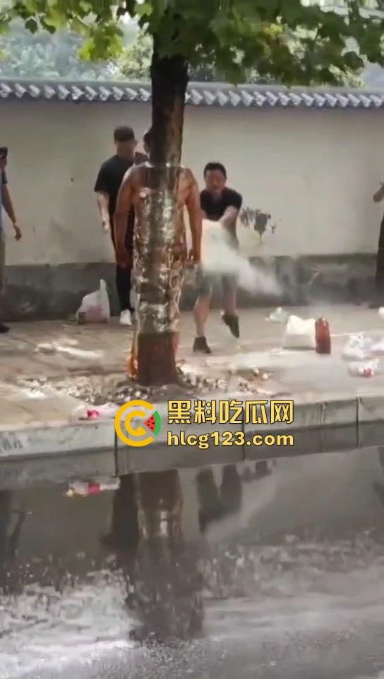 城里人的离谱操作!脱光缠树上撒面粉,这画面简直像缅北逃猪仔被抓!