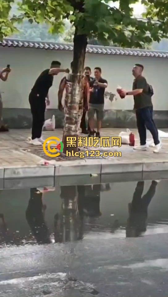 城里人的离谱操作!脱光缠树上撒面粉,这画面简直像缅北逃猪仔被抓!