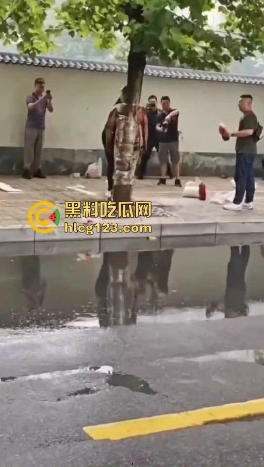 城里人的离谱操作!脱光缠树上撒面粉,这画面简直像缅北逃猪仔被抓!