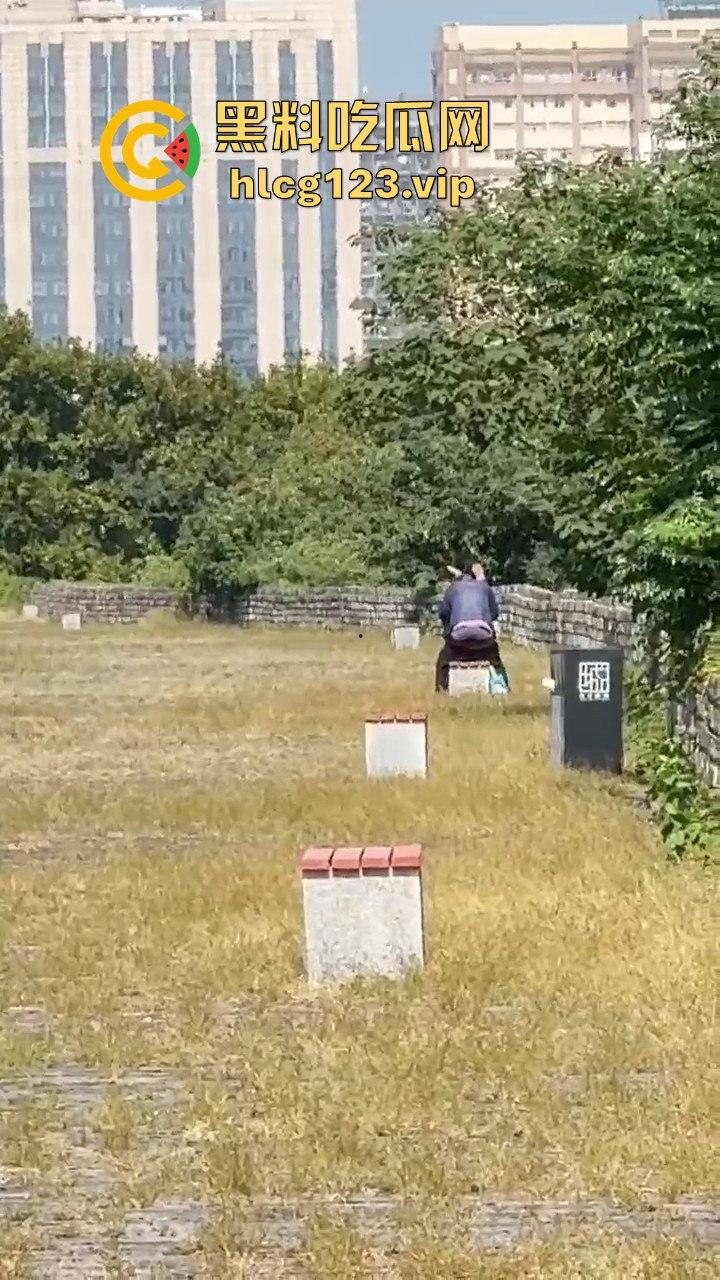 南京城墙惊现激情戏!大爷大妈公园打野战,瓜友带朋友全程目瞪口呆!