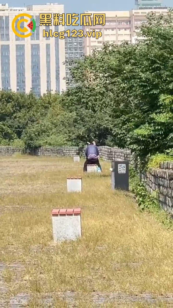 南京城墙惊现激情戏!大爷大妈公园打野战,瓜友带朋友全程目瞪口呆!