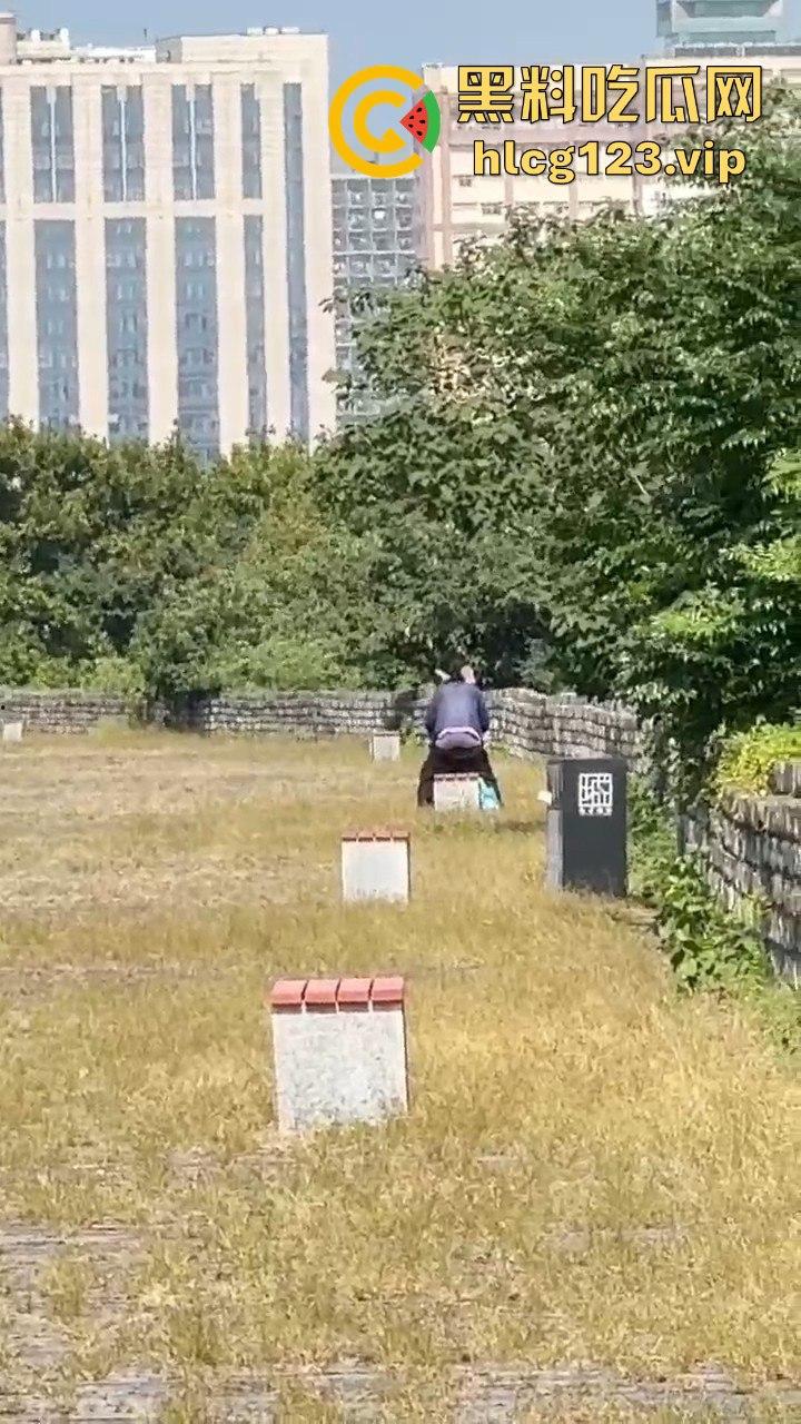 南京城墙惊现激情戏!大爷大妈公园打野战,瓜友带朋友全程目瞪口呆!