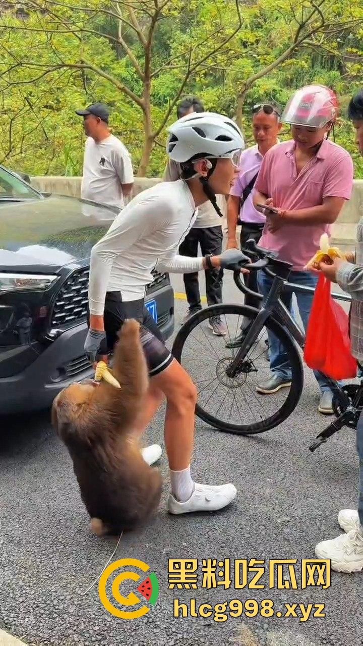 奇葩猴子不吃香蕉专爱美女！见到女的就疯狂抱大腿、抓胸、扯头发！