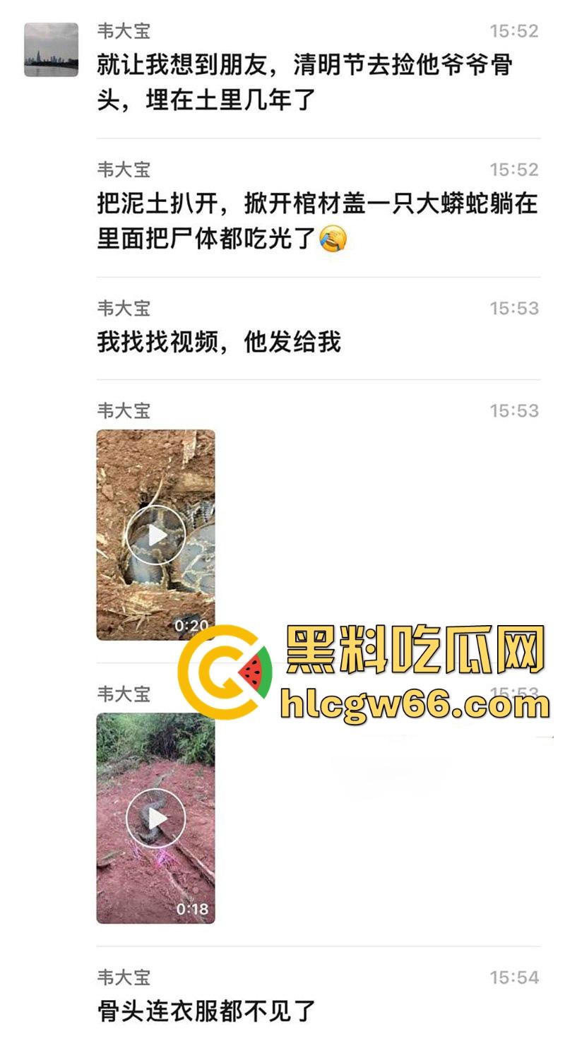 广西迁坟扫墓 棺材内惊现大蟒蛇 尸体被吃光 场面毛骨悚然 果然恐怖电影都源于现实啊!