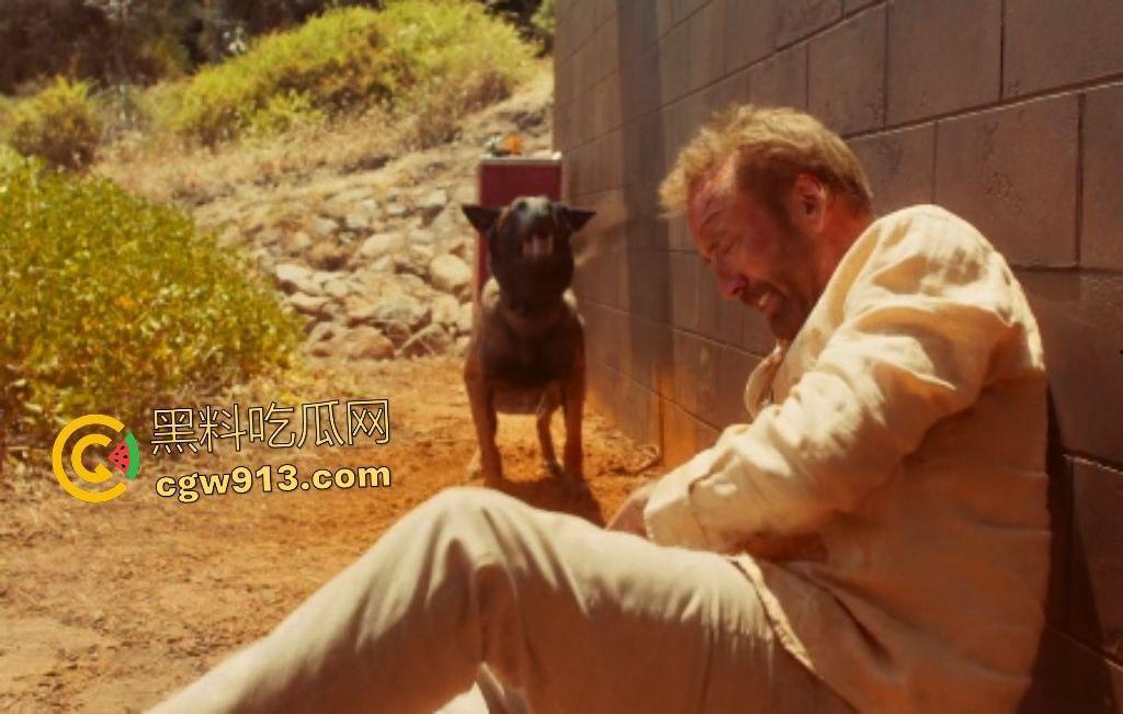 2025惊悚大片【冲浪惊魂】,澳洲海滩凯奇父子遭冲浪黑帮羞辱,凯奇怒火焚天,誓要沙滩所有权!