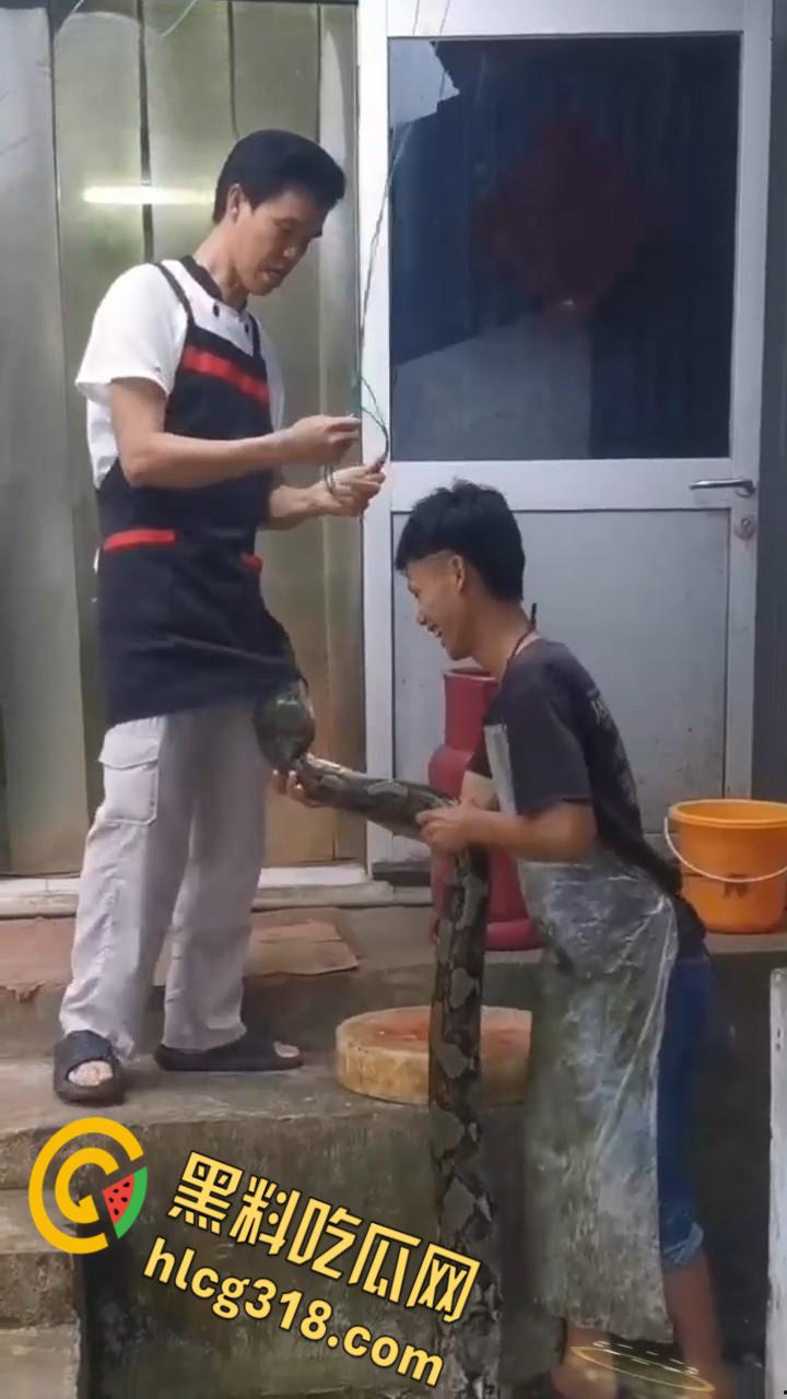 农夫徒手大战蟒蛇,54公斤巨型蟒蛇被活活打死,农户剥皮下锅做大补美食,场面血腥 !