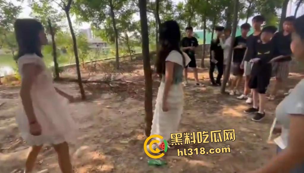 河南树林惊爆霸凌事件!精神小伙小妹群殴弱女,用手打还嫌手痛,最后直接用脚踹,腰都快要闪到了!