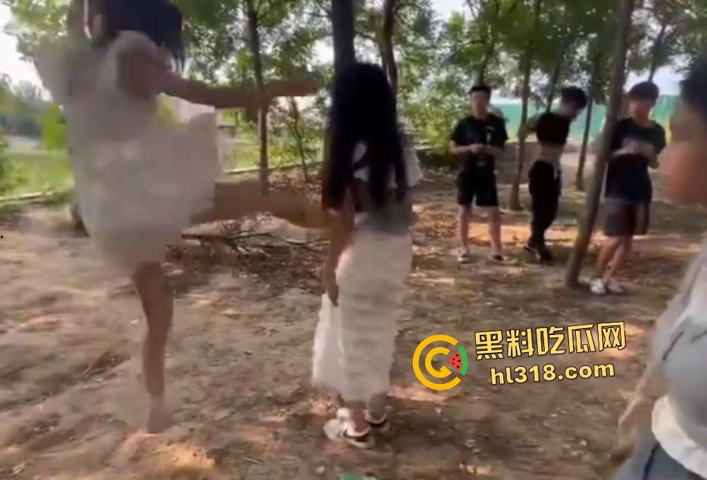 河南树林惊爆霸凌事件!精神小伙小妹群殴弱女,用手打还嫌手痛,最后直接用脚踹,腰都快要闪到了!