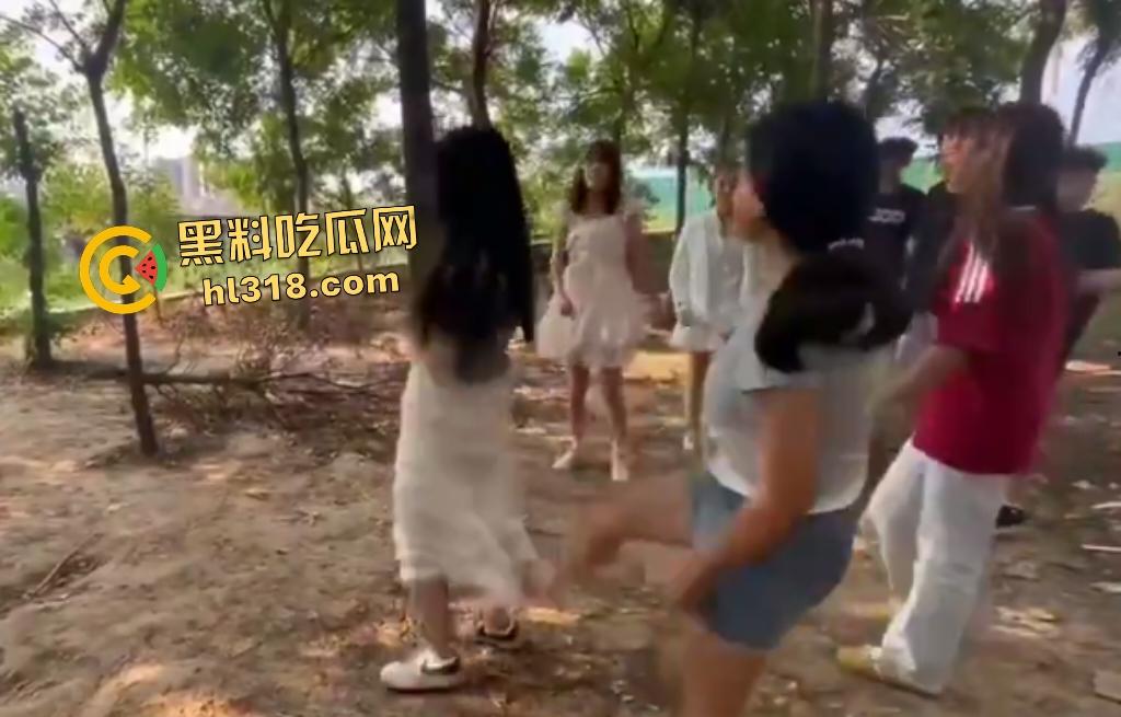 河南树林惊爆霸凌事件!精神小伙小妹群殴弱女,用手打还嫌手痛,最后直接用脚踹,腰都快要闪到了!