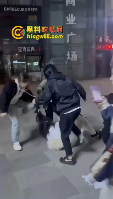 哈尔滨精神小伙大战精神小妹,化最丑的妆打最狠的架,地上全是血,社会摇直接进化成血战街头!