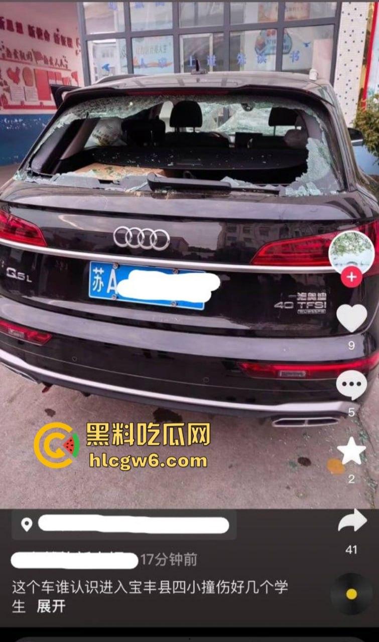 河南平顶山宝丰县奥迪变坦克疯狂碾压路人 四小学校多名学生受伤 家长崩溃场面失控 现场实拍流出