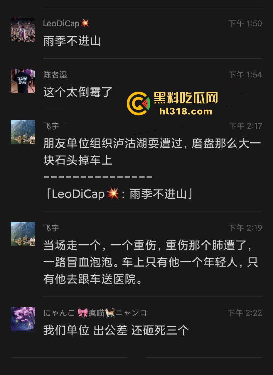 天降横祸！明天跟意外都不知道哪个先来，在车里坐的好好的突然大石砸下来，当场死亡，太惨了！