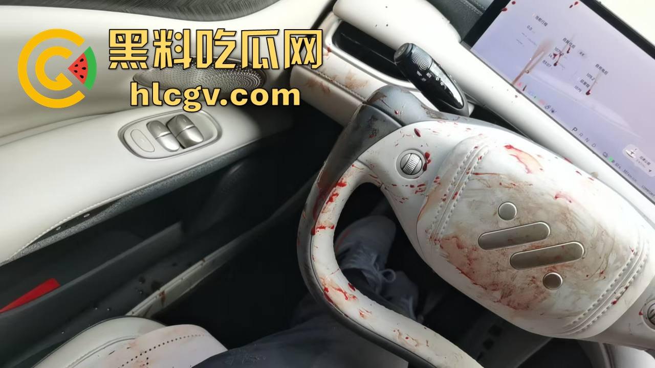 瓜友投稿提新车还得见血?智己测评见鸡血,婆婆竟找神婆做法,这年头唯物主义去哪了?