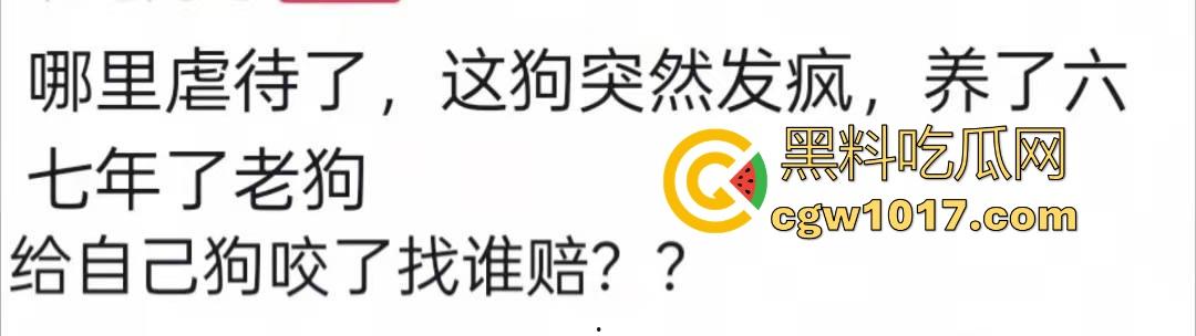 七年老狗反咬主人，不是虐待就突然发疯，满脸都是血，大型狗真恐怖，随后安排处死，这时候爱狗人士怎么不说话了！