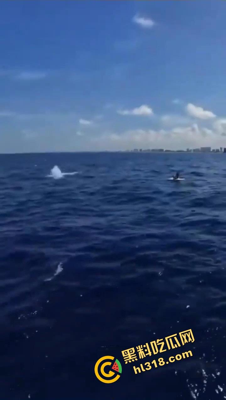 老外挑战大海漂流日逼,日到一半遇金枪鱼,鸡儿抽插手在抓鱼,打完炮还能吃活生鱼片,真正的野外求生!