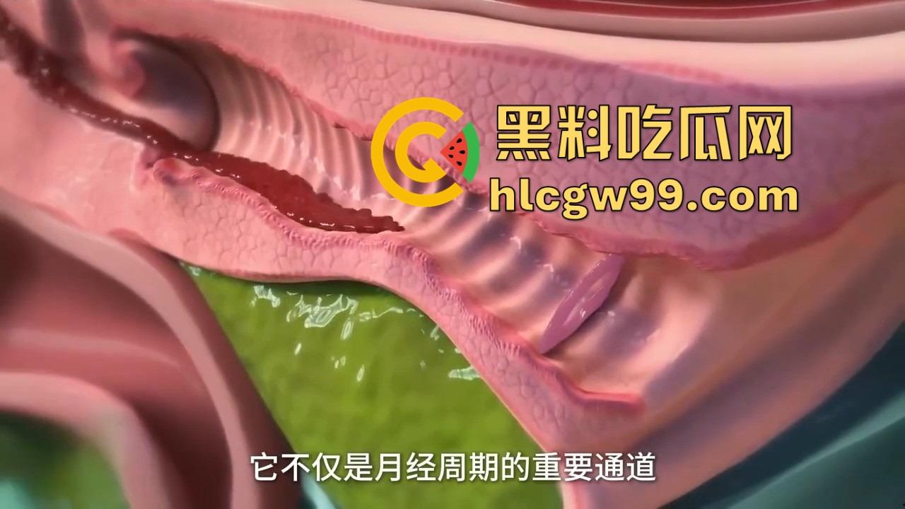 健康的阴道到底啥味儿?为啥说有股酸奶味 真的是乳酸菌的功劳吗?