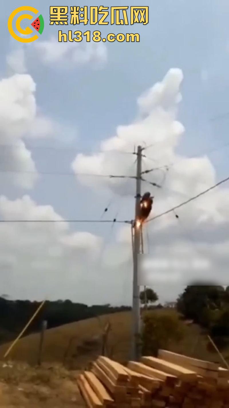 美国农场高压触电事故，农场主找来电工偷电，结果电工操作失误，竟直接当场电熟 现场画面流出！