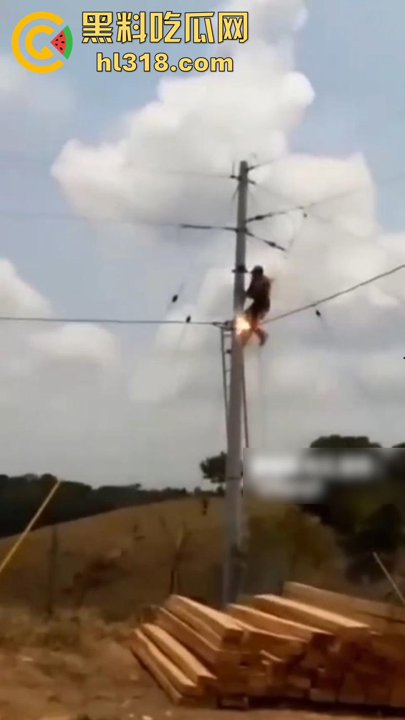 美国农场高压触电事故,农场主找来电工偷电,结果电工操作失误,竟直接当场电熟 现场画面流出!