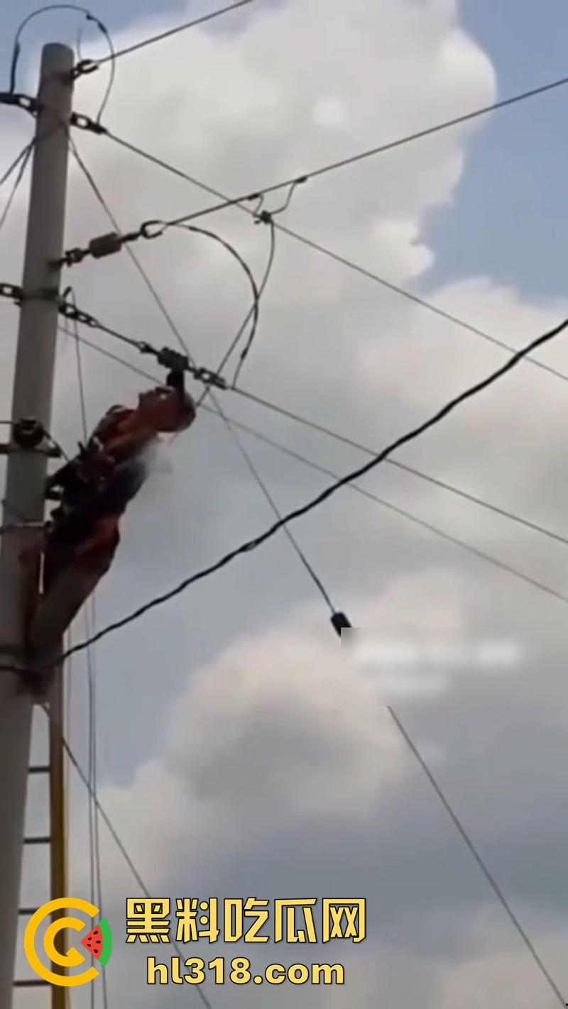 美国农场高压触电事故,农场主找来电工偷电,结果电工操作失误,竟直接当场电熟 现场画面流出!