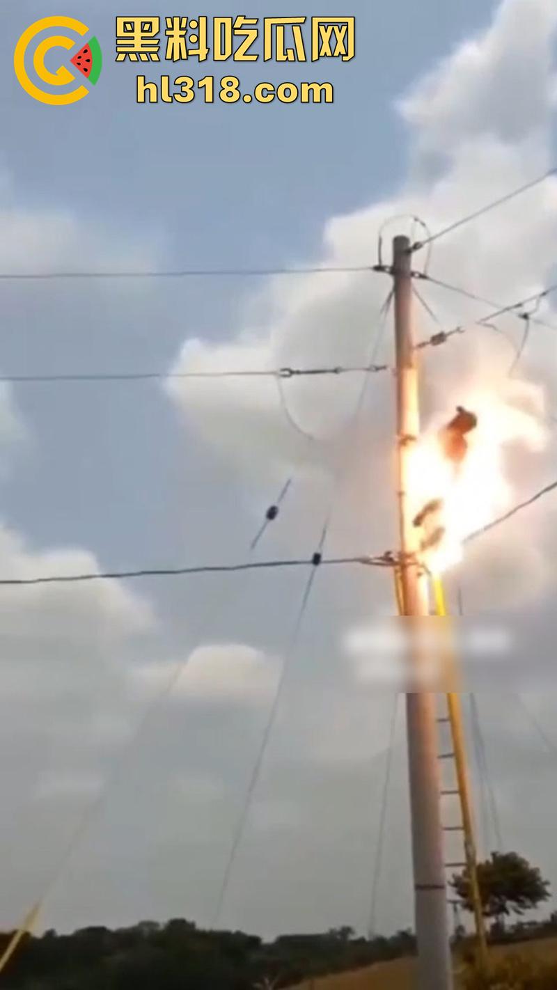 美国农场高压触电事故,农场主找来电工偷电,结果电工操作失误,竟直接当场电熟 现场画面流出!