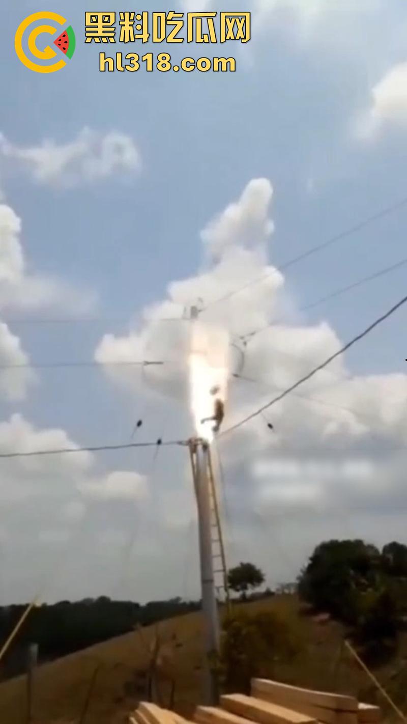 美国农场高压触电事故,农场主找来电工偷电,结果电工操作失误,竟直接当场电熟 现场画面流出!