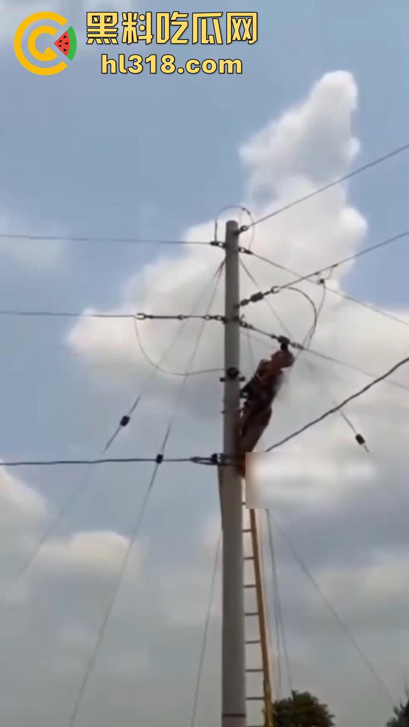 美国农场高压触电事故,农场主找来电工偷电,结果电工操作失误,竟直接当场电熟 现场画面流出!