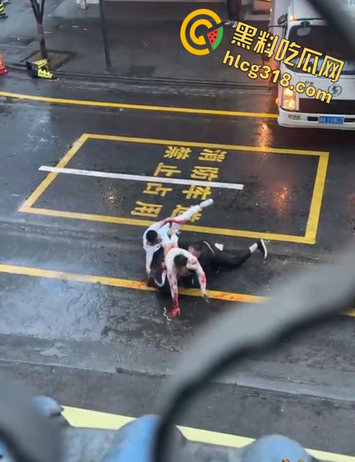 小伙街边无差别砍人,就算劝架也惨被砍,街头刀光血飙骨肉翻开,地上血迹一片看着都感觉痛 !
