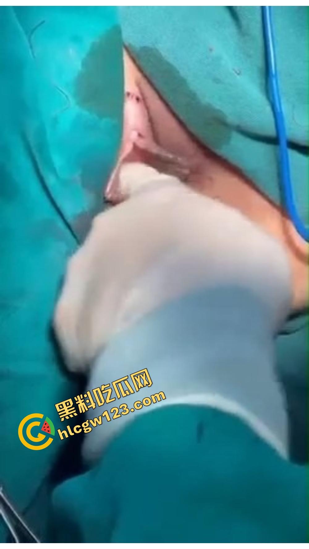 别再幻想什么天生紧致了,都是海克斯科技硬给收的,这年头的小穴,哪有天然紧的?没整过你都不配叫tight!