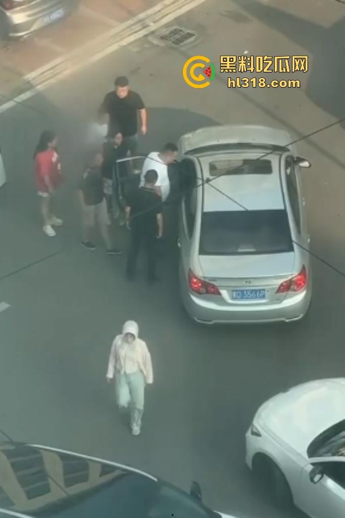 河南许昌长葛停车纠纷变全武行！本地司机狂挥拳痛殴外地车主，全家属拉着外地车主不让走！