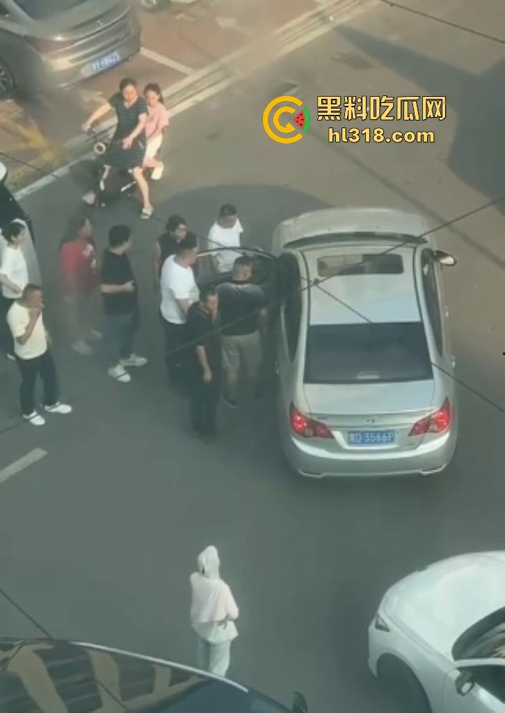 河南许昌长葛停车纠纷变全武行!本地司机狂挥拳痛殴外地车主,全家属拉着外地车主不让走!