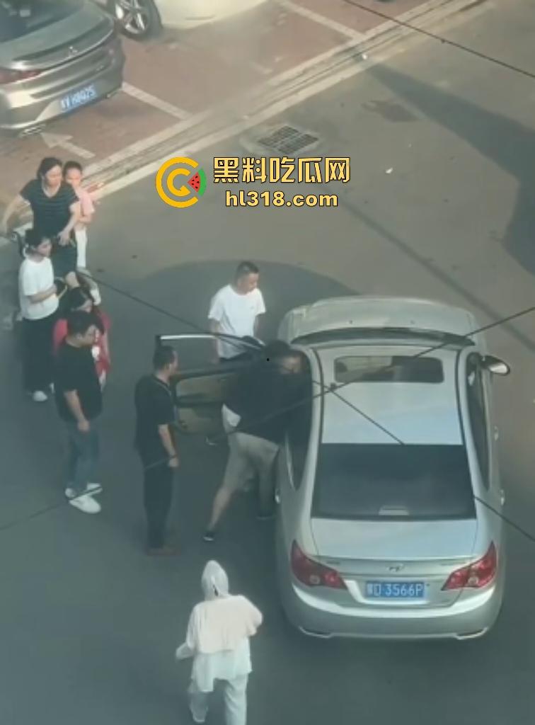 河南许昌长葛停车纠纷变全武行!本地司机狂挥拳痛殴外地车主,全家属拉着外地车主不让走!