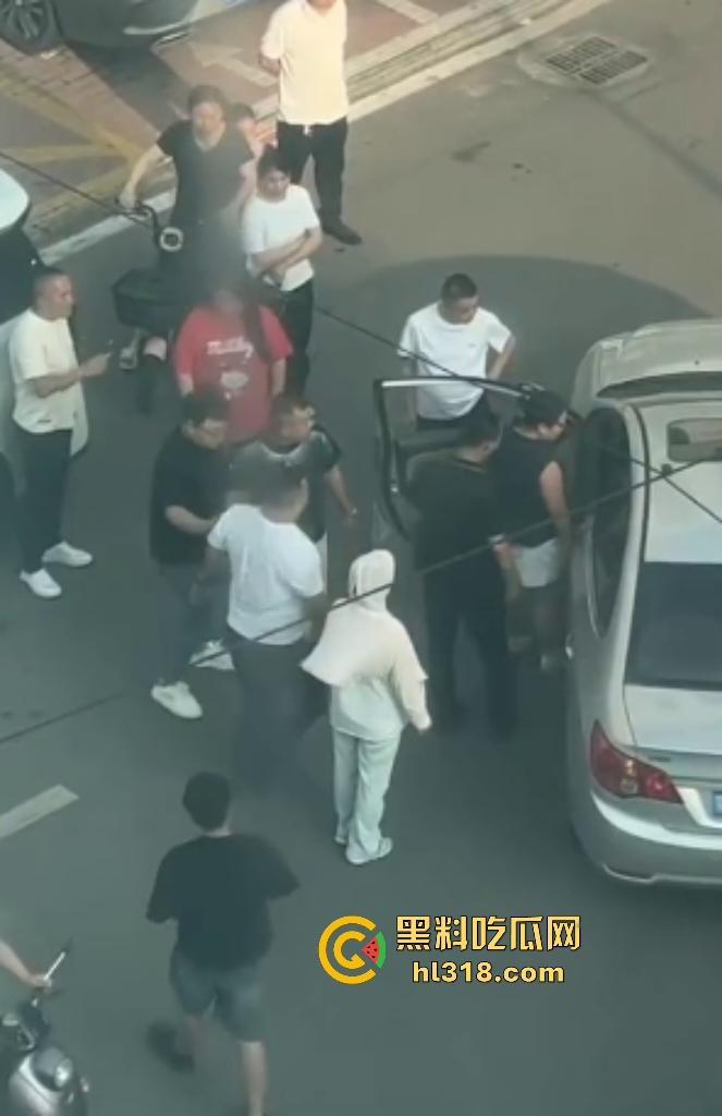 河南许昌长葛停车纠纷变全武行!本地司机狂挥拳痛殴外地车主,全家属拉着外地车主不让走!