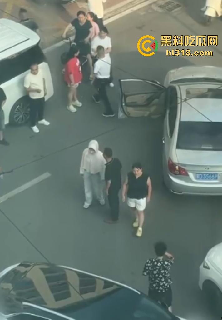 河南许昌长葛停车纠纷变全武行!本地司机狂挥拳痛殴外地车主,全家属拉着外地车主不让走!