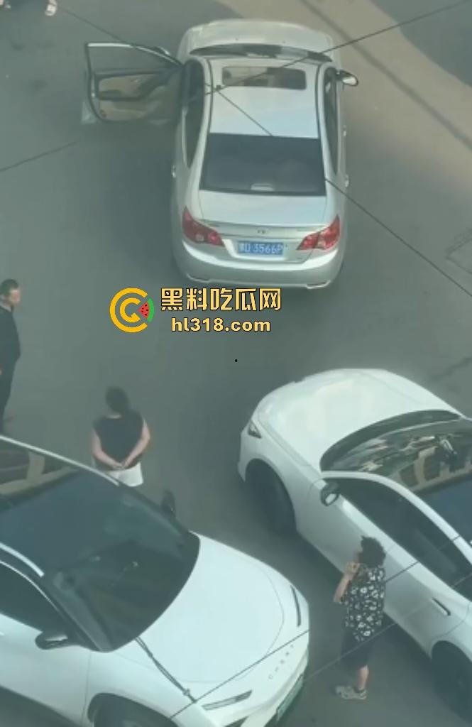 河南许昌长葛停车纠纷变全武行!本地司机狂挥拳痛殴外地车主,全家属拉着外地车主不让走!