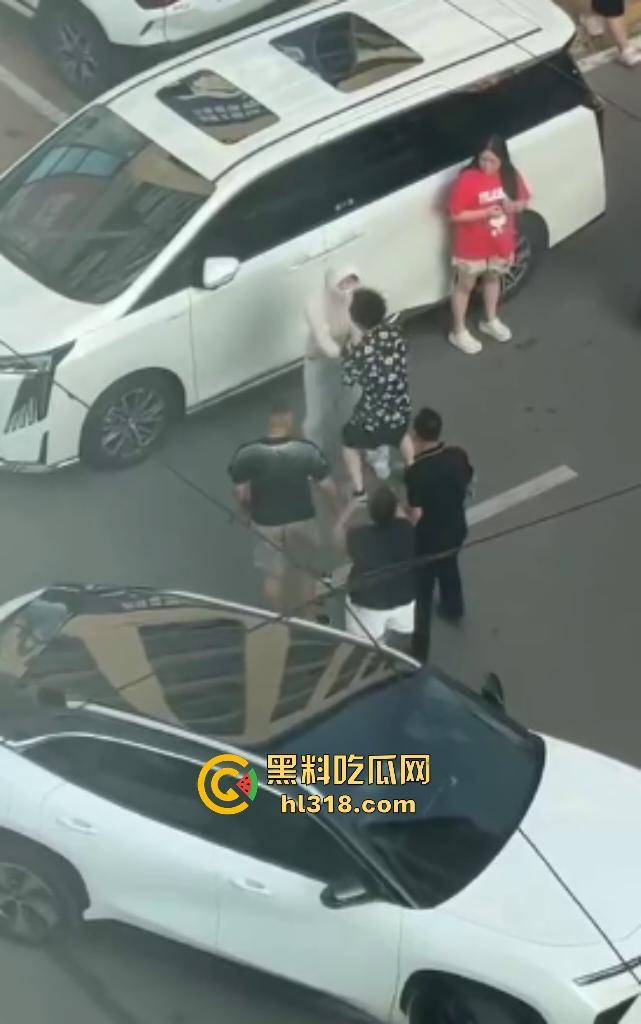 河南许昌长葛停车纠纷变全武行!本地司机狂挥拳痛殴外地车主,全家属拉着外地车主不让走!