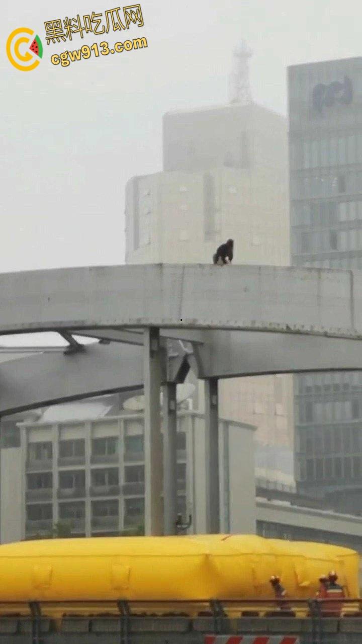 宁波一男子抛妻弃子,净身出户出轨怀孕四月女主播,结果女主播要分手,万念俱灰跳桥 !