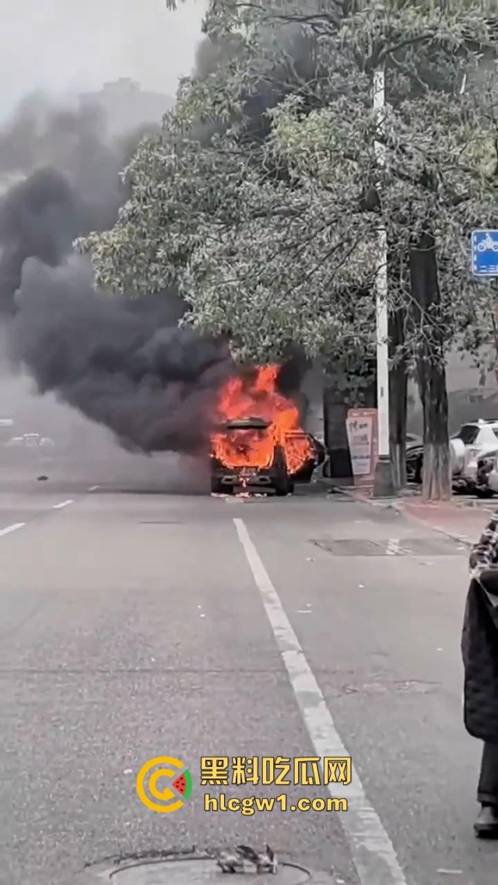 福建莆田一suv路边自燃 几分钟烧成空壳 现场实拍视频曝光
