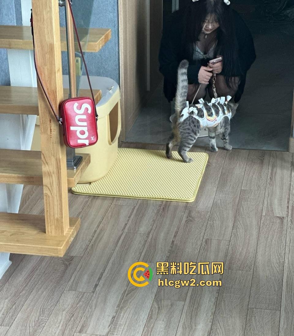 约啪大神高价付费福利!强推学生妹COS【徐婷】干得她浪叫连天,十个COS九个骚,真特么没毛病!