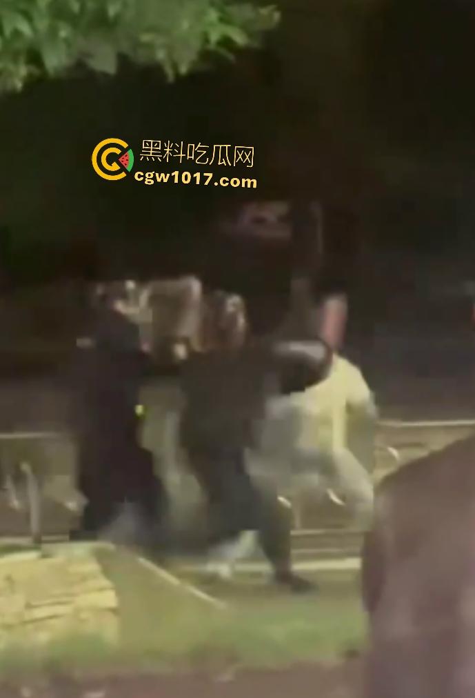 达州街头“刀皇”用菜刀袭警,小冲突变警匪大戏,警车撞击刀皇还能立马站起来,女友抱腿才能制服,太牛逼了!