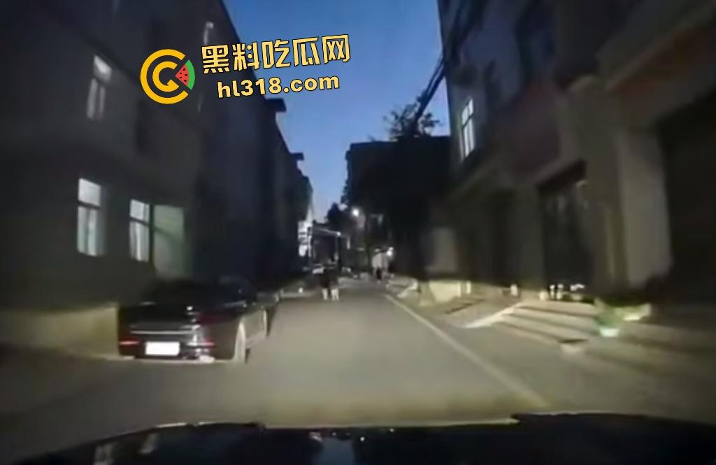 7月28日夜晚重庆一男子挥菜刀怒压妻子在马路，路人喇叭惹祸被菜刀指着，妻子还来劝架又被压在地上！