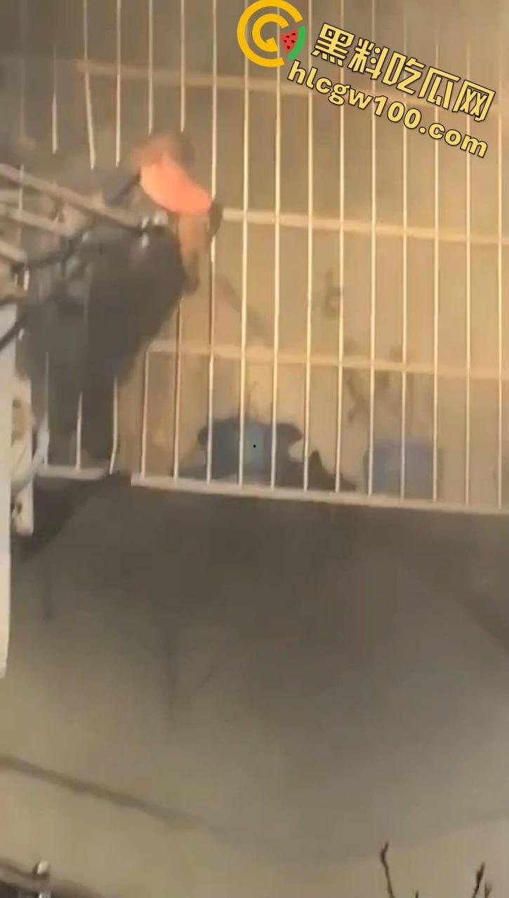 天塌了!南太湖突发噩梦级火灾!某小区瞬间变 “火场”,一死一伤,火光浓烟惊煞众人