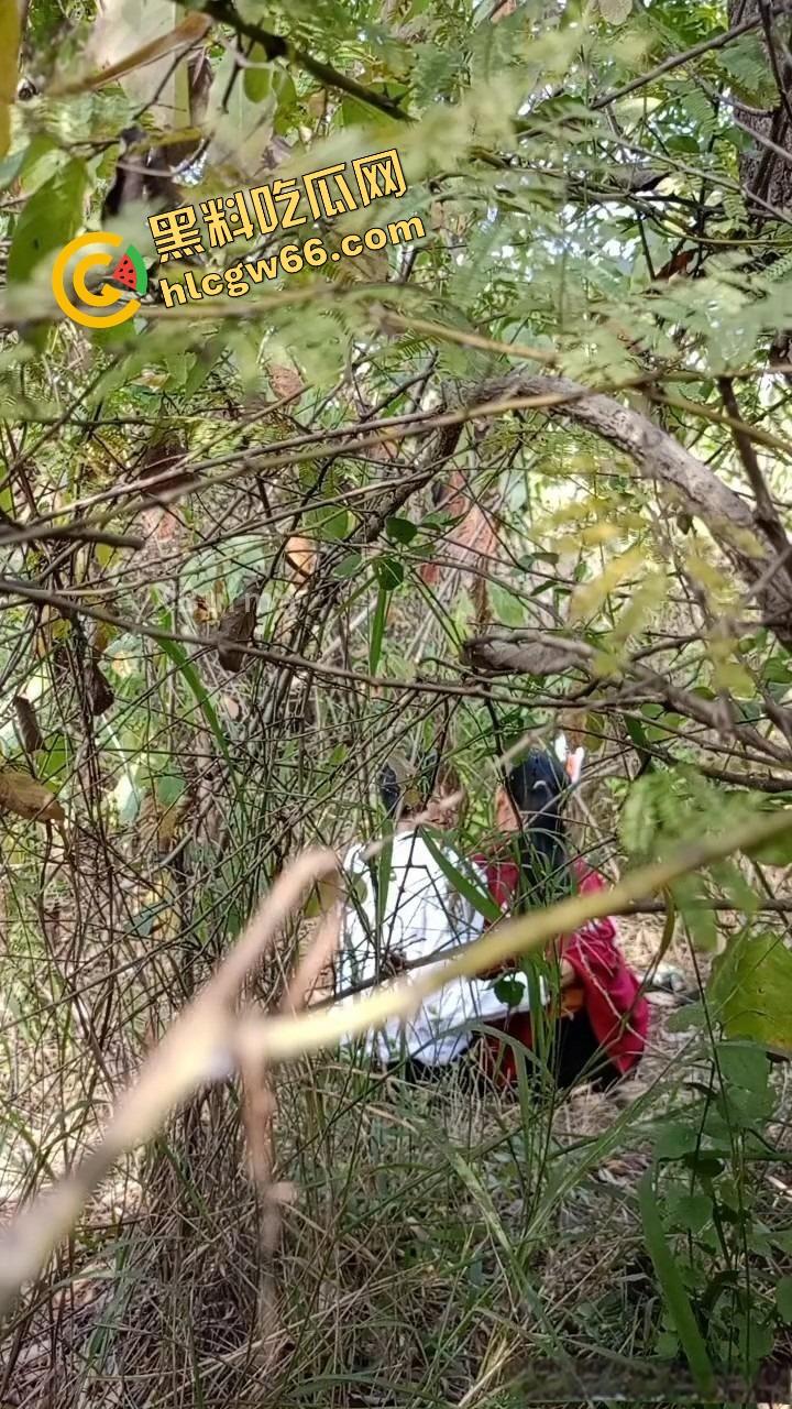 夏天的第一炮,小情侣树林野战开操果园大哥路过拍下全程,屁股抬得比桃子高,万物复苏逼也骚!