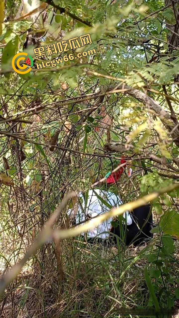 夏天的第一炮,小情侣树林野战开操果园大哥路过拍下全程,屁股抬得比桃子高,万物复苏逼也骚!