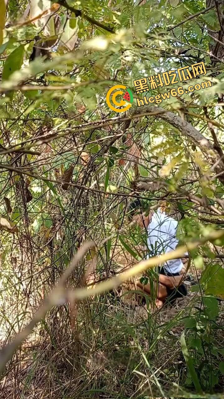 夏天的第一炮,小情侣树林野战开操果园大哥路过拍下全程,屁股抬得比桃子高,万物复苏逼也骚!