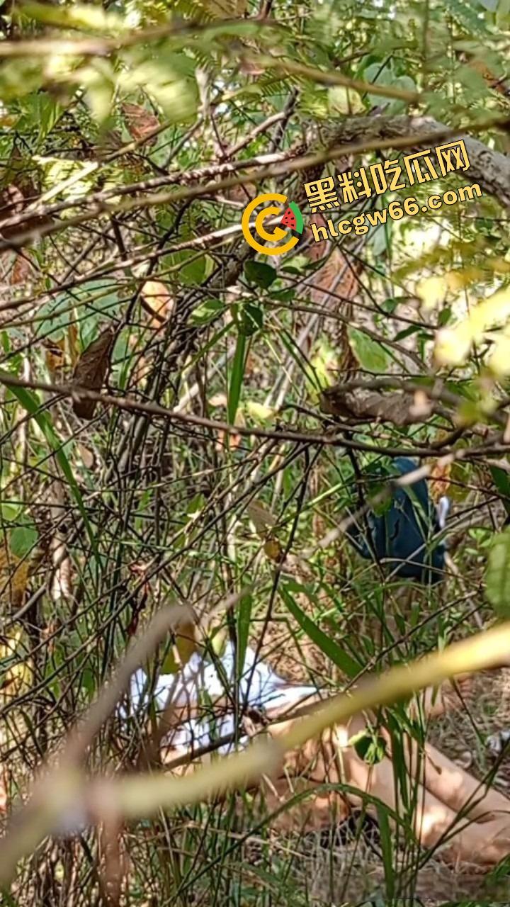 夏天的第一炮,小情侣树林野战开操果园大哥路过拍下全程,屁股抬得比桃子高,万物复苏逼也骚!