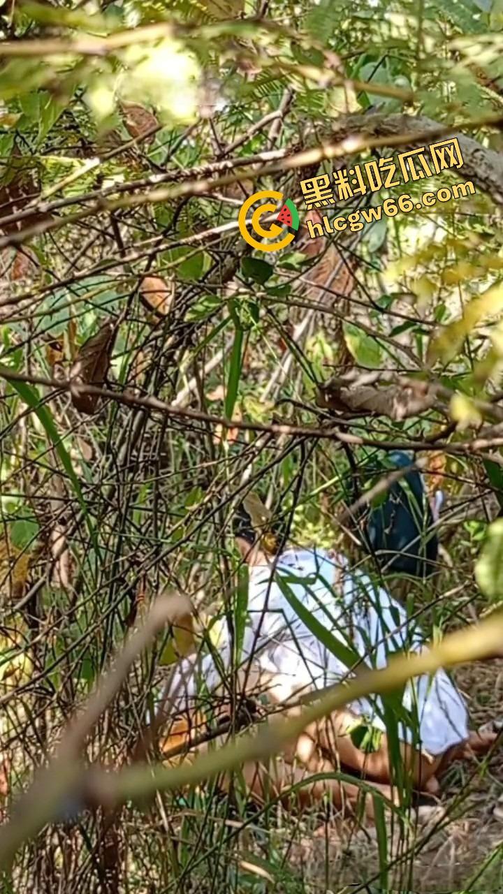 夏天的第一炮,小情侣树林野战开操果园大哥路过拍下全程,屁股抬得比桃子高,万物复苏逼也骚!